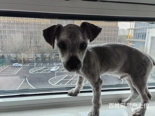 【搞定了！】 - 图片