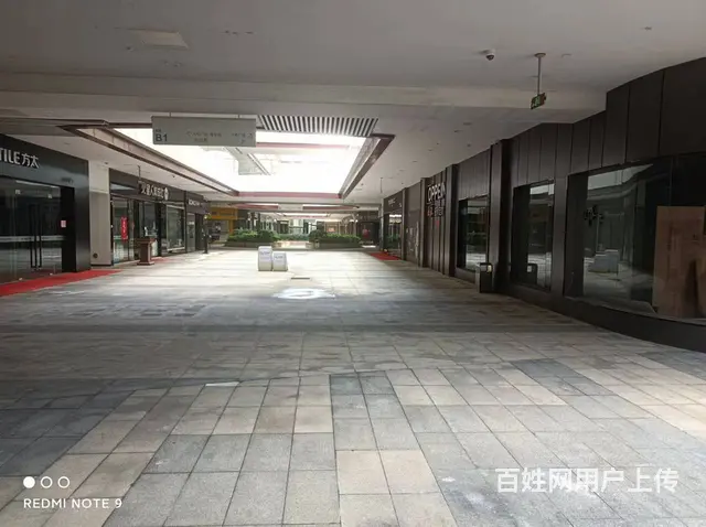 （51旺铺推荐）椰海大道喜盈门56平旺铺招租 - 图片 3