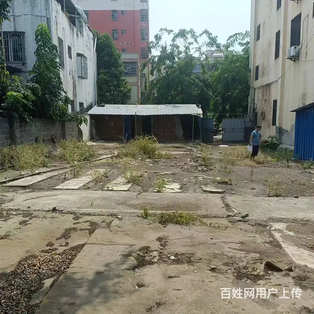 （51旺铺推荐）琼山区新大州大道儒俊新村360平空地招租 - 图片 3