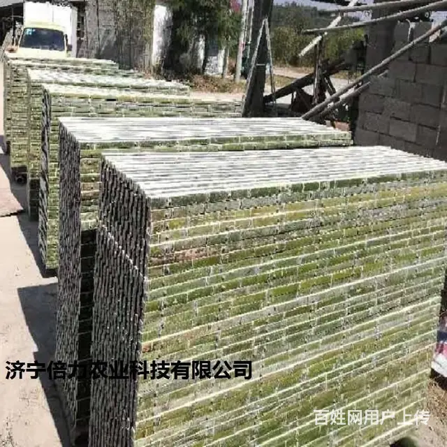 羊舍羊床漏粪板的价格 - 图片