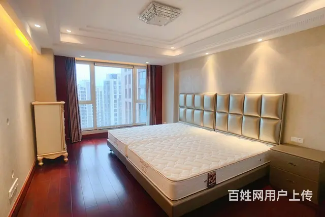 绿城新华园豪装3房杭州大厦星河明苑西湖文化广场武林壹号 - 图片 5