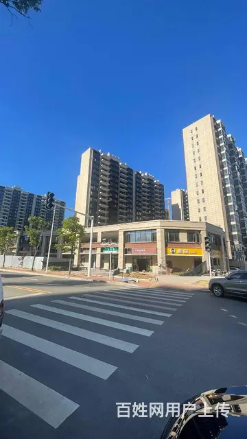 A（免租两月）碧桂园·荟隽棠 后一套门面直租编号4028 - 图片 2