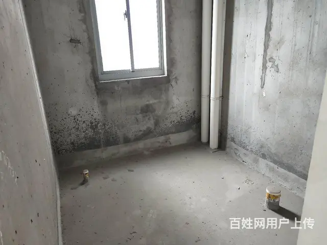 滨江明珠城 中间楼层 毛坯大三房 满五唯一 随时看 - 图片 5