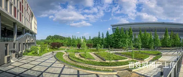 四川师范大学小自考本科思想政治教育考试科目 - 图片