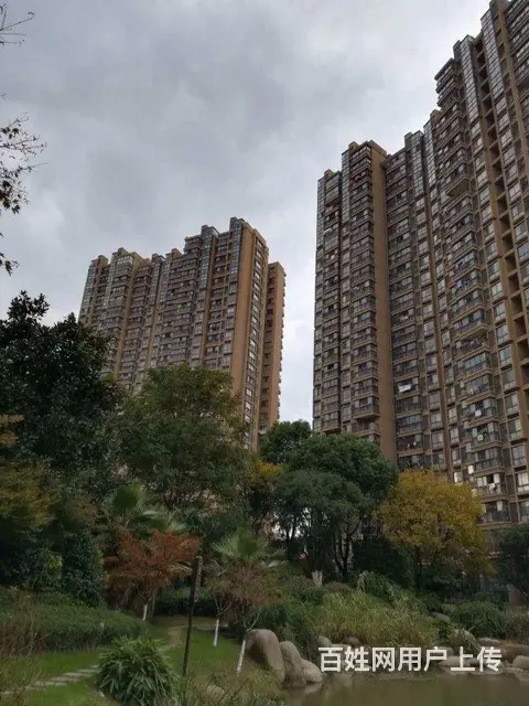 九洲花园一期豪装，3房1卫 楼层好 采光通透，户型 - 图片 11