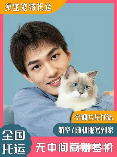 2022锡林郭勒（猫狗）快递托运（宠物活体运输新*闻） - 图片 3