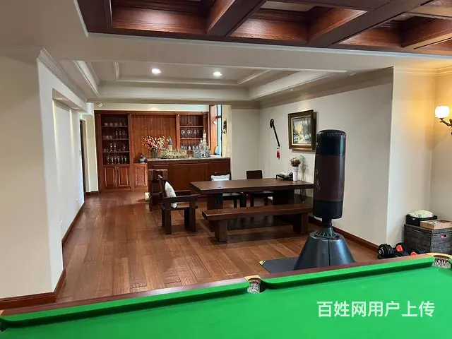 盛和天下双拼前深大院  精装修 高端大气拎包即住 双车库 - 图片 8