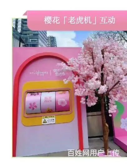 VR滑雪机出租，VR大型冲浪 - 图片 4