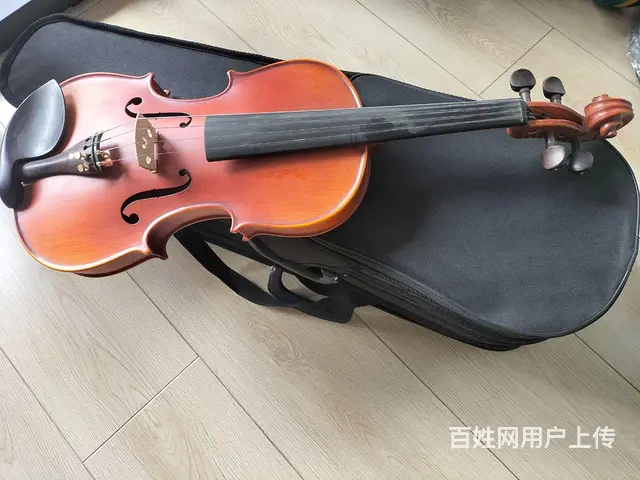 【搞定了！】小提琴 - 图片