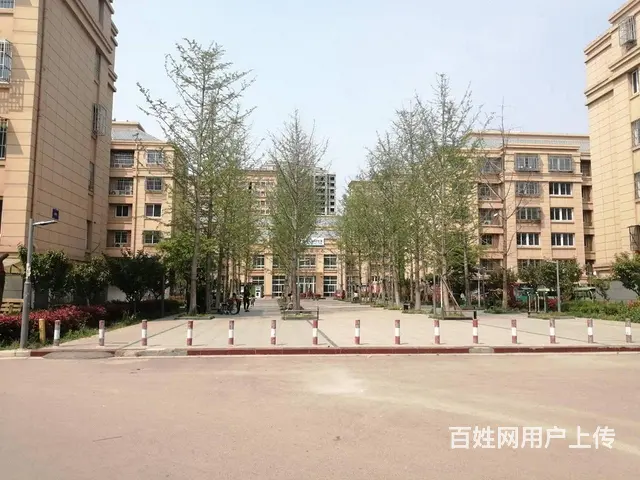 南湖房翠湖嘉苑电梯两室毛坯房31万 - 图片 7