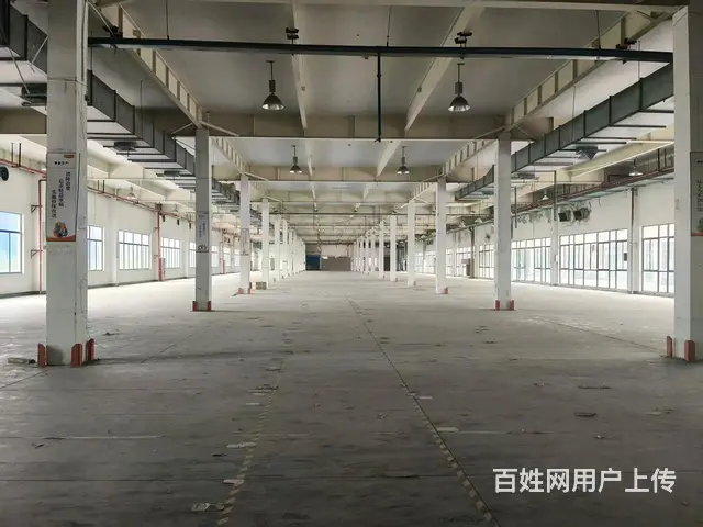 钱塘下沙拓诚产业园28000方厂房出租（可分租） - 图片 4