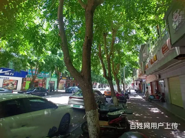 （51旺铺推荐）琼山区振兴路50平铺面急租 - 图片 5