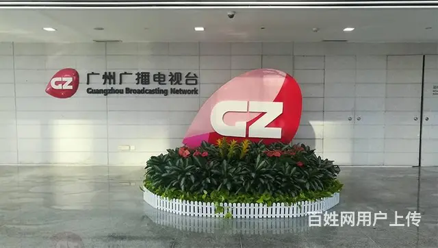 广州办公室绿植租凭，园林绿化外包，绿植出售 - 图片 3