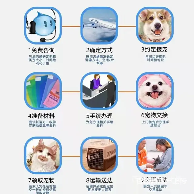 吴忠宠物托运（猫狗）活体邮寄快递（2022宠物运输 ）今日推 - 图片 3
