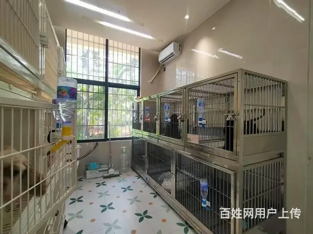 （51旺铺推荐）迎宾路中铁悠岚湖68平宠物店转让 - 图片 7