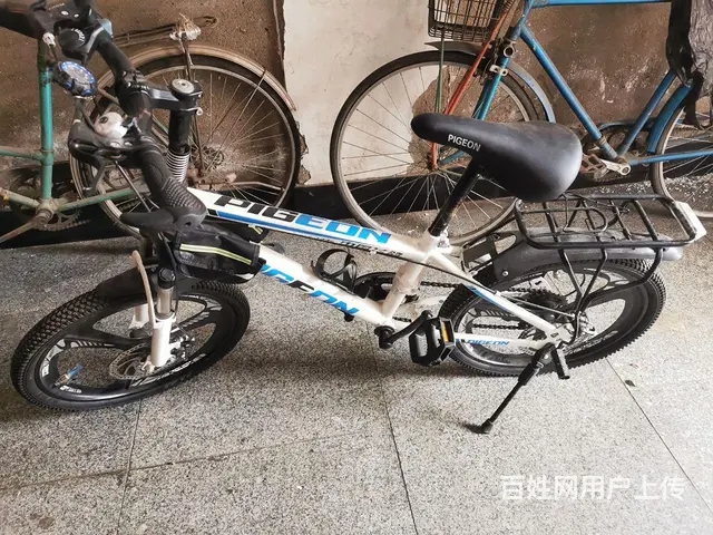 飞鸽山地自行车 - 图片 7