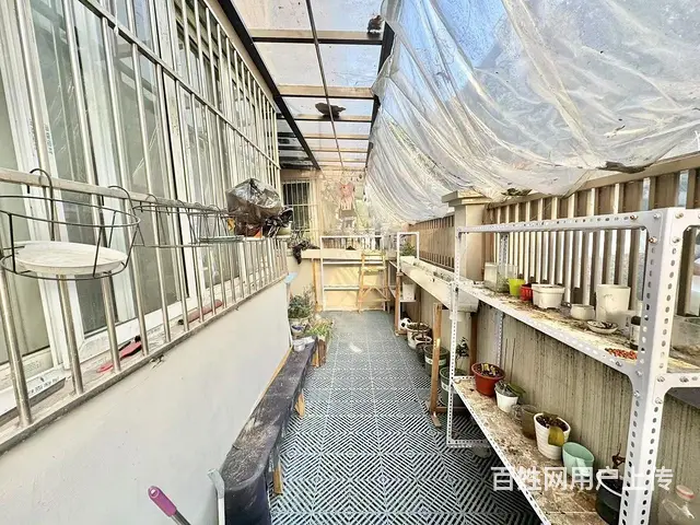 翠苑2室翠苑一区南北好格局    便宜急租 - 图片 8