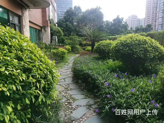 大场地/中小型场地出租面试培训团建珠江新城cbd - 图片 3