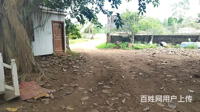 海口市土地出租，分租，南海大道火山口大道交叉 - 图片 7