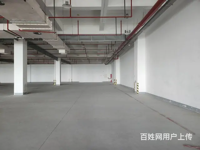 苏虹东路精装厂房招租 4T货梯 丙类消防 带喷淋 交通便利！ - 图片 4