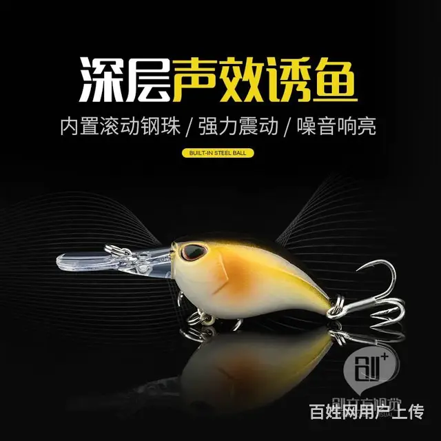 威海海带拍摄/海产品拍照/海参摄影/淘宝拼多多美工 - 图片 8