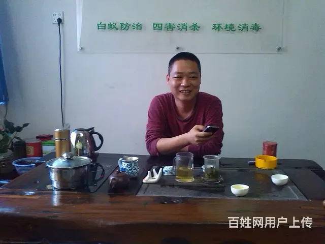 珠海白蚁防治  杀虫 灭鼠 灭蟑螂 灭跳蚤 红火蚁 - 图片 9