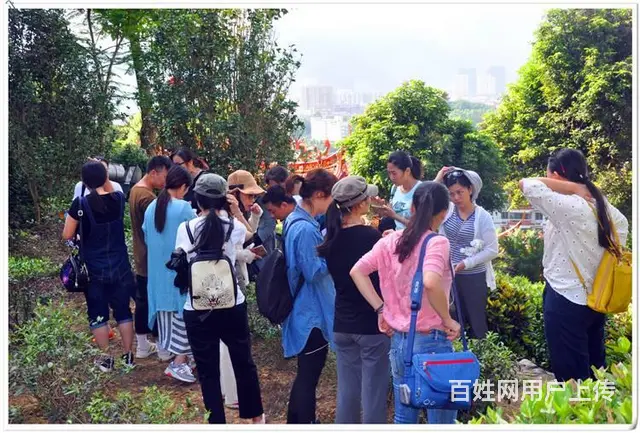 10月11日天晟茶艺培训完全改变了你对茶艺的认知 - 图片 4