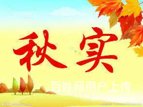 昆明做饭钟点工、保姆、老人陪护、育儿嫂！！ - 图片 1