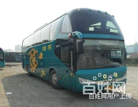 常州宠物托运怎么收费/宠物专车上门接送 - 图片 9