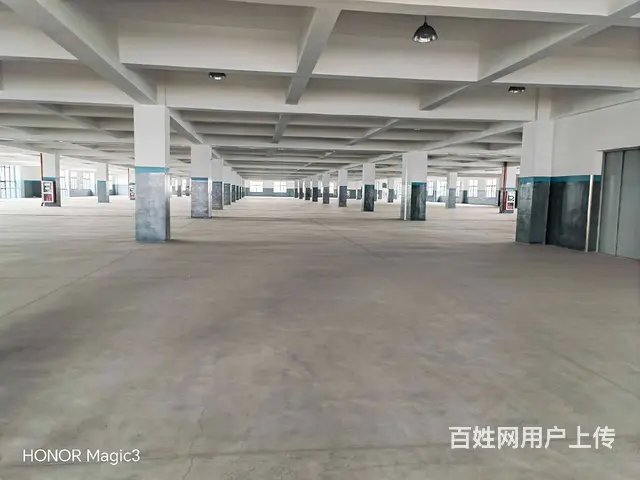 碧溪沿江开发区32000平方标准厂房出租，场地大，环境优美。 - 图片 8