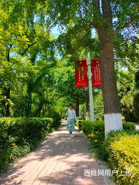 寻一人终老 - 图片