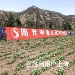 保定刷墙广告涂料 保定房地产墙体广告涂料 - 图片