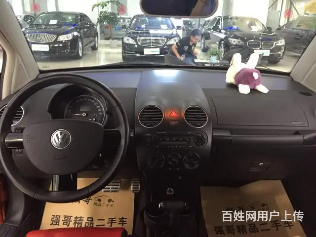 大众甲壳虫掀背 [进口] 2010款 2.0L 自 - 图片 6