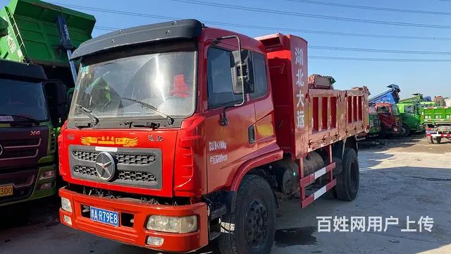 大量蓝牌自卸车 - 图片 5