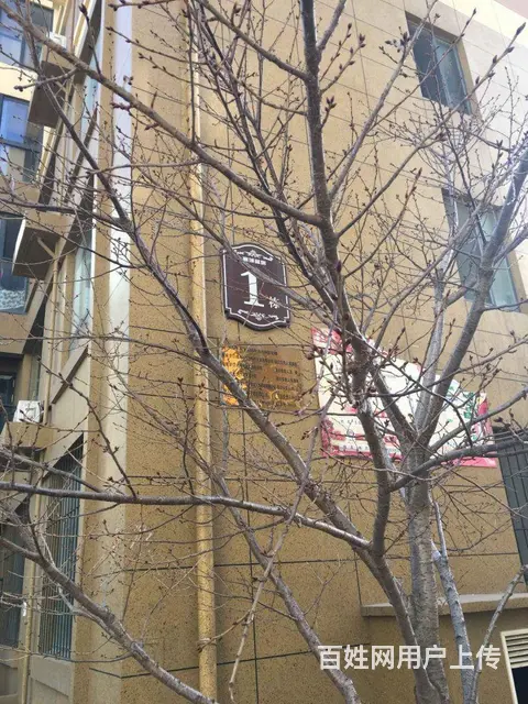 威海鼎信大厦 汽车站高铁站商圈 高端海景现房写字楼 - 图片 11