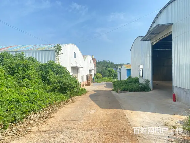 (房东直租)望城乌山750一2000平独院厂房出租，可分租 - 图片 9