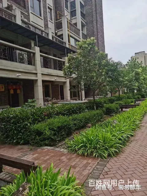 远见水岸 别墅 毛坯房 - 图片 2