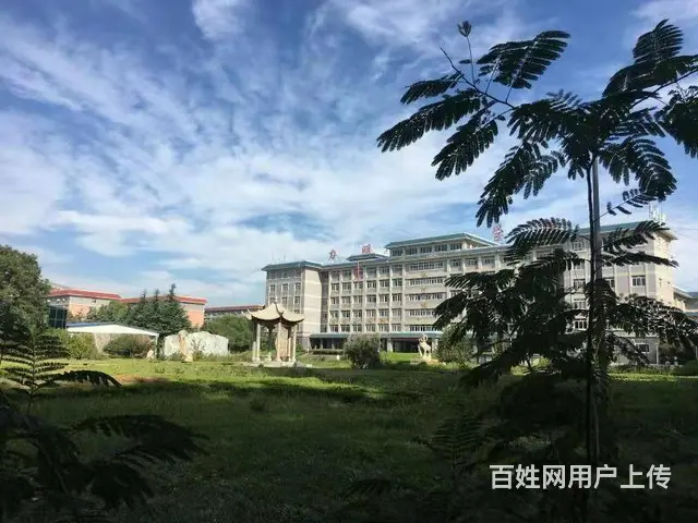 潍坊护理职业学院招生信息 - 图片 1