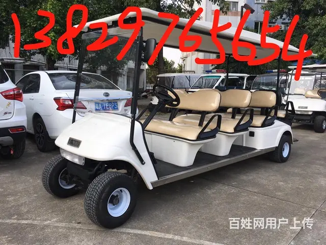 出租租赁出售电瓶观光车 展会接驳车 楼盘看房车 - 图片 10