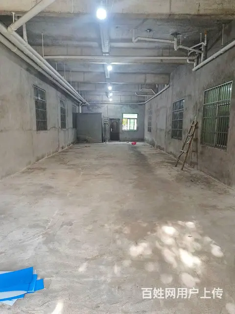 （51旺铺推荐）荔枝沟新中路180平店铺出租 - 图片 12