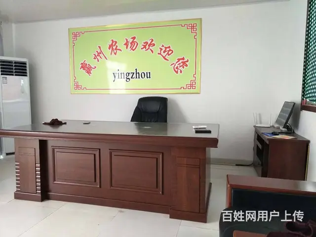 （易店）周村北郊镇大型猕猴桃果园带果实转让！ - 图片 1