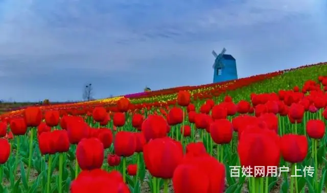 蓝月佳缘本周六带你一个神秘的地方 - 图片 6