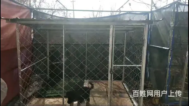 铁价处理，很大，很沉！ - 图片 2