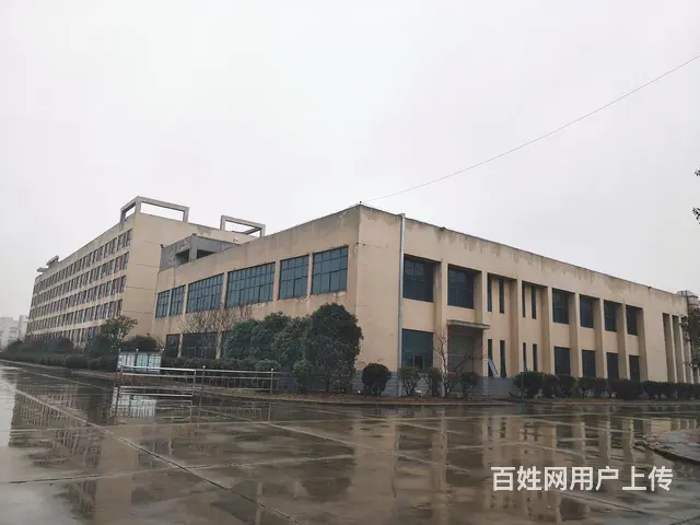 【都市时讯 优选推介】淮上工业园特步大道厂房出租 - 图片 5