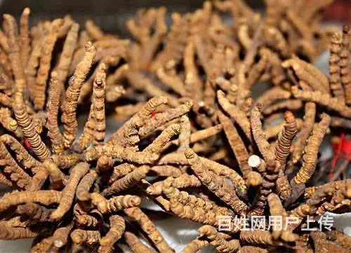 常州哪里有实体回收店回收礼品回收老茅台五粮液冬虫夏 - 图片 7