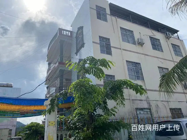 （51旺铺推荐）海棠湾林旺大道3200平场地加三栋房子出租 - 图片 4