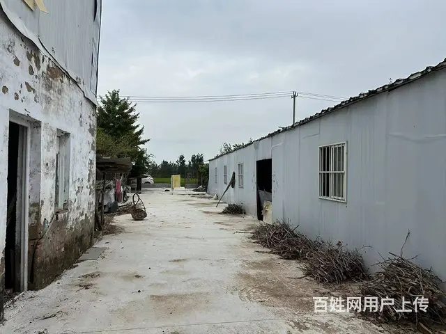 （徐州找店网）大庙独门独院厂房仓库养殖场出租 - 图片 8
