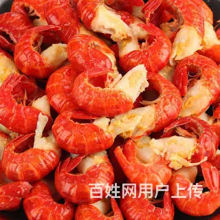 阿拉尔单冻龙虾尾厂家批发直供鑫慷发冷冻龙虾尾厂家供货电话 - 图片 1