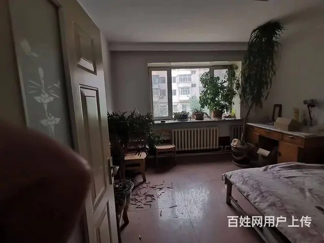 新鹤B区学区二中十七中，育民2楼129平36万 - 图片 1