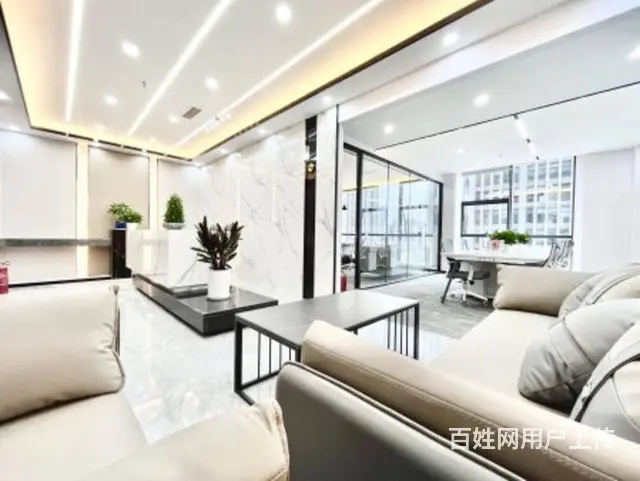 新装轻奢风（5室30工位）无加时费 三街地铁口新希望国际 - 图片 3